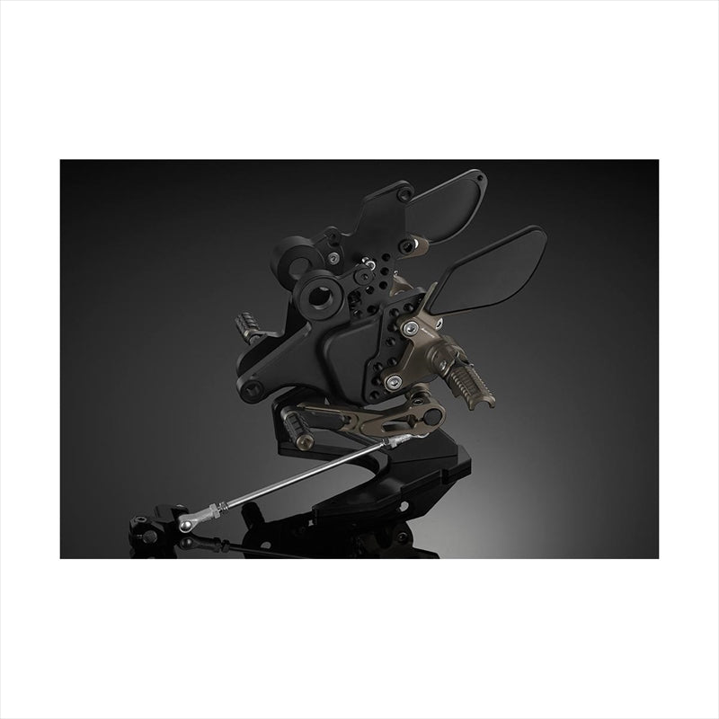 BIKERS(バイカーズ) バックステップ チタン K0387-TIN Ninja650/Z650