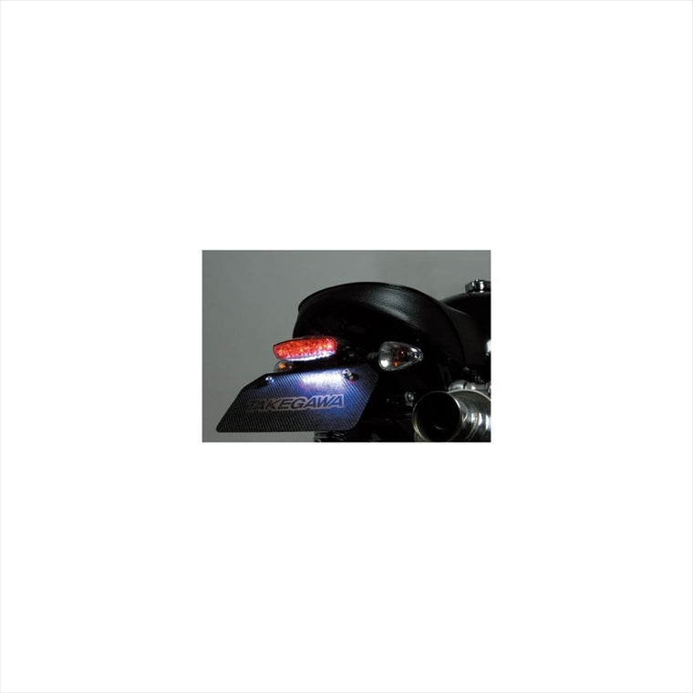 SP TAKEGAWA(スペシャルパーツタケガワ)｜LEDミニテールランプキット レッド ｜05-08-0016