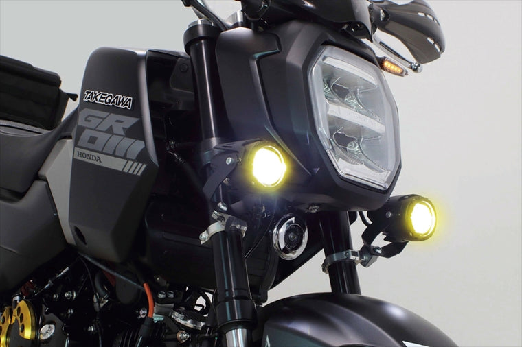 SP TAKEGAWA(スペシャルパーツタケガワ)LEDフォグランプキット カットライン/10W/2色 2個入 05-08-0686