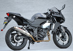 【ヤマモトレーシング】ヤマモト.R ステン2-1 チタンサイレンサー DOWN NINJA250R 08【カタログ品番：P034-2007】【メーカー品番：40251-61STC】