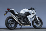 【ヤマモトレーシング】ヤマモト.R ステン スリップオン チタンサイレンサー Z250 13-【カタログ品番：P055-6983】【メーカー品番：40253-01NTB】