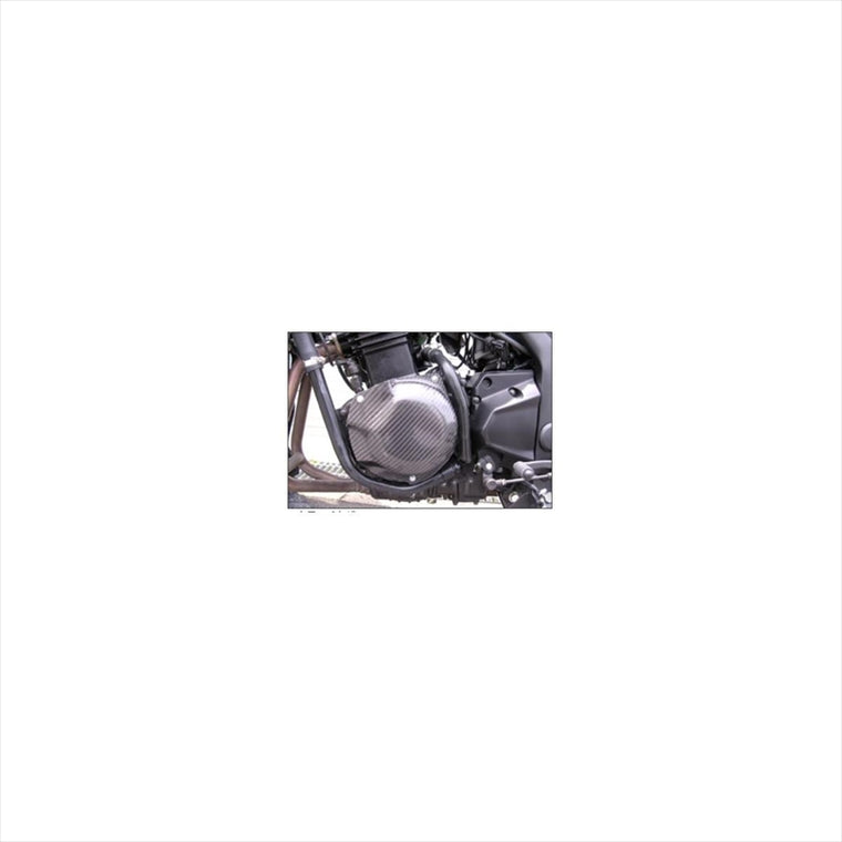 A-TECH(エーテック)｜EGガードセット ドライカーボン ｜9KA01065-S