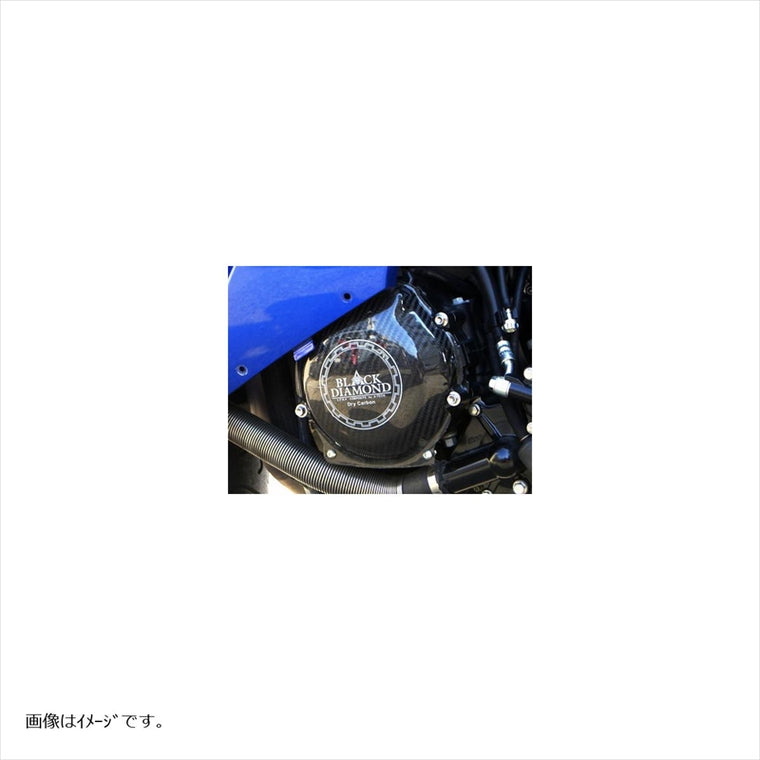 エーテック｜EGガードセット ドライカーボン ｜9KA01175-S