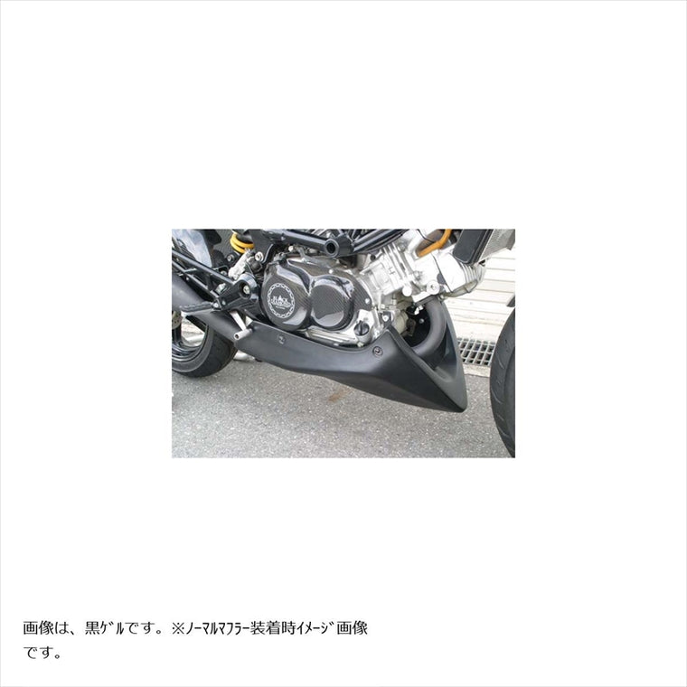 エーテック｜アンダーカウル カーボン ｜H07222