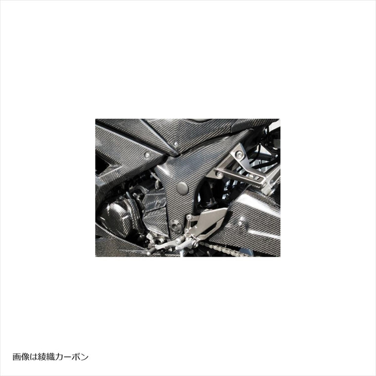 A-TECH(エーテック)｜フレームカバー 左右セット CK ｜K0158213