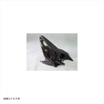 A-TECH(エーテック)｜リアフェンダーSPL FW ｜K0159070