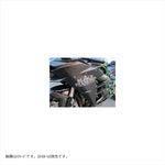 エーテック｜サイドカウル (L/R クリア塗装) DCK｜K80045-CK