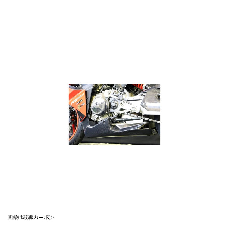 エーテック｜アンダーカウルSPL FW ｜AP6730