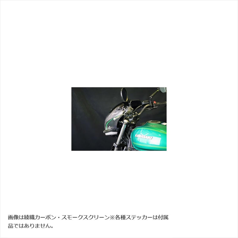 エーテック｜ビキニカウルSPL (アクアパープル) FB｜K65021-6