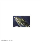 エーテック｜RC用シートカウルSPL 3点セット FB｜K11891