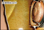 【アクティブ】アクティブ タケドン 錆とりコーティング剤 DO3800-250