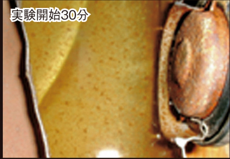 【アクティブ】アクティブ タケドン 錆とりコーティング剤 DO3800-250