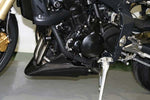 【NEXRAY】ネクスレイ アンダーカウル セミグロス STREET TRIPLE【カタログ品番：P034-3631】【メーカー品番：31891501】