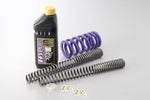 【HYPERPRO】ハイパープロ コンビKIT 22032440＋22032441 ローダウン約-20mm TMAX530 DX 17-19【カタログ品番：P091-2994】【メーカー品番：22032442】