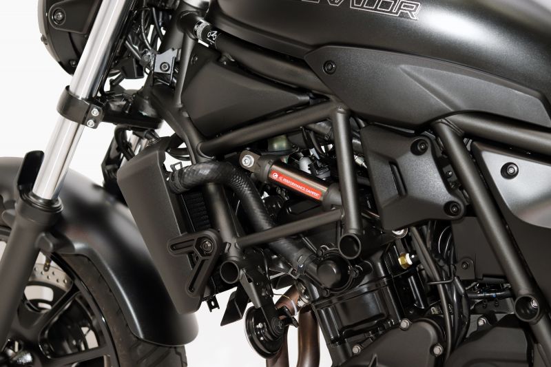 ACTIVE(アクティブ) パフォーマンスダンパー ELIMINATOR SE 23-24