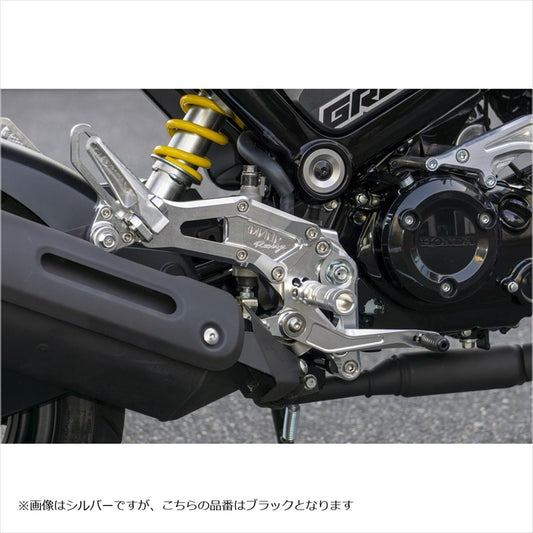 オーヴァーレーシング|バックステップ 4POS タンデム付|51-223-51B