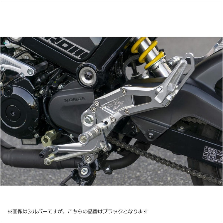 オーヴァーレーシング｜バックステップ 4POS タンデム付｜51-223-51B