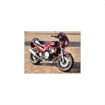 シックデザイン｜ロードコメット BK/Mブルーメタ/スモーク ｜RC08-BK/MBM/2