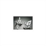 アグラス｜バックステップ 6P ｜312-262-000