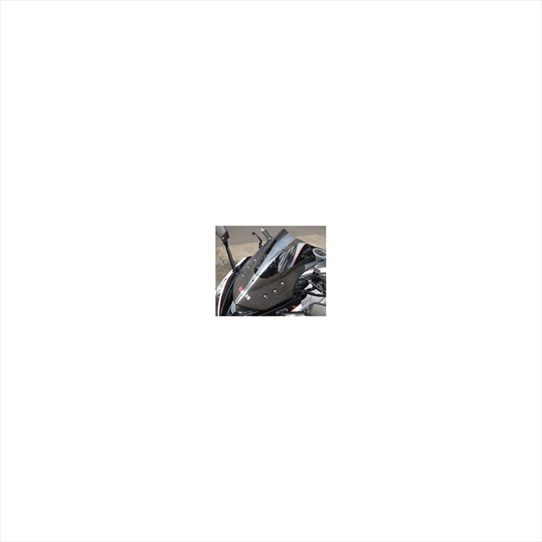 バイクパーツ 外装<br>マジカルレーシング バイザースクリーン 平織/スモーク<br>001-NINJ11-04C1 4548664581726<br>Ninja1000<br>