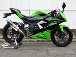 【ダブルアールズ】WR`S       S／O ST-OVAL 焼き色タイプ    Ninja250SL／ABS （JBK-BX250A） SV4260JM