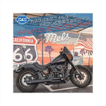 エスアンドエスサイクル | S＆S スクリーン クランクケースオイル OEM:24981-66,24981-70 | 31-2010