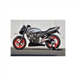 サイタニヤファクトリー｜フロントカウル/レース/黒ゲル/ステー付 ｜3HH25FCR-B