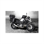 HEPCO&BECKER(ヘプコアンドベッカー) | サイドキャリア Lock-it ブラック | 6503534 00 01 | V-Strom650/XT 17-23