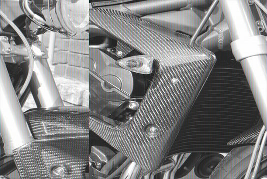 MOTO VELOCE(モトベローチェ)｜ラジエターガード 綾織カーボン ｜D01-TRIUM-250A