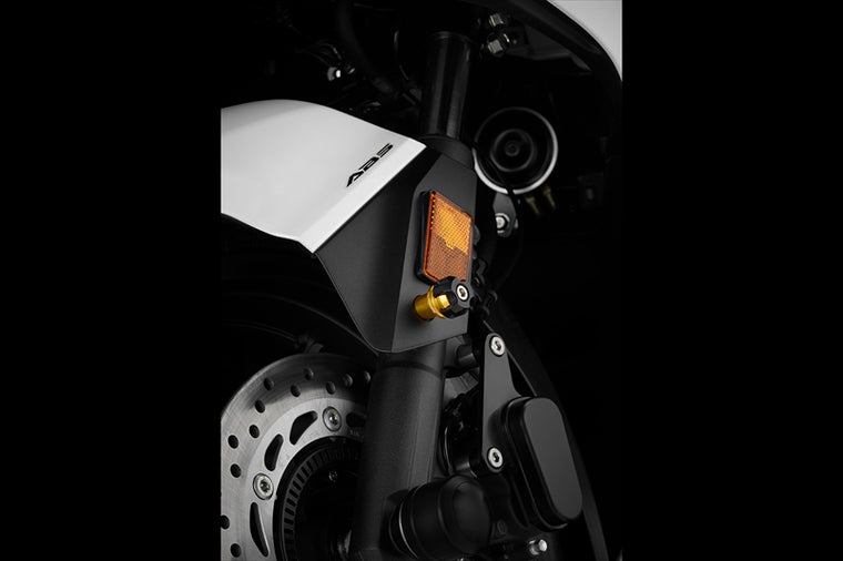 BIKERS(バイカーズ)｜フロントフェンダープロテクター 2個 ライトゴールド｜C0085-LGD