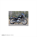 シックデザイン｜GUYRAシールド クリア #L｜GS48DL