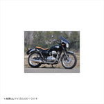 シックデザイン｜GUYRAシールド スモーク #L｜GS48DL/2