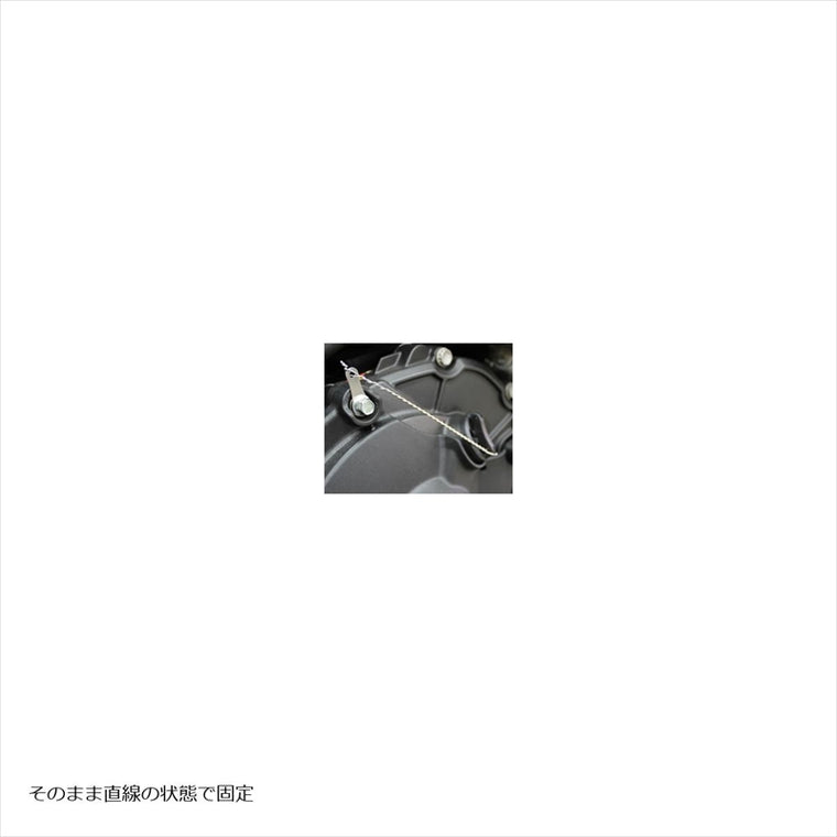 エッチングファクトリー｜M6用ワイヤーロックピース 50個入 ｜item-wm6-01
