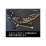WOODSTOCK(ウッドストック) | バックステップキット オールBLK  | WBS-T01-BB | トライアンフ デイトナ Moto2 765 20-
