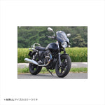 シックデザイン｜GUYRAシールド スモーク #L ｜GS57EL/2