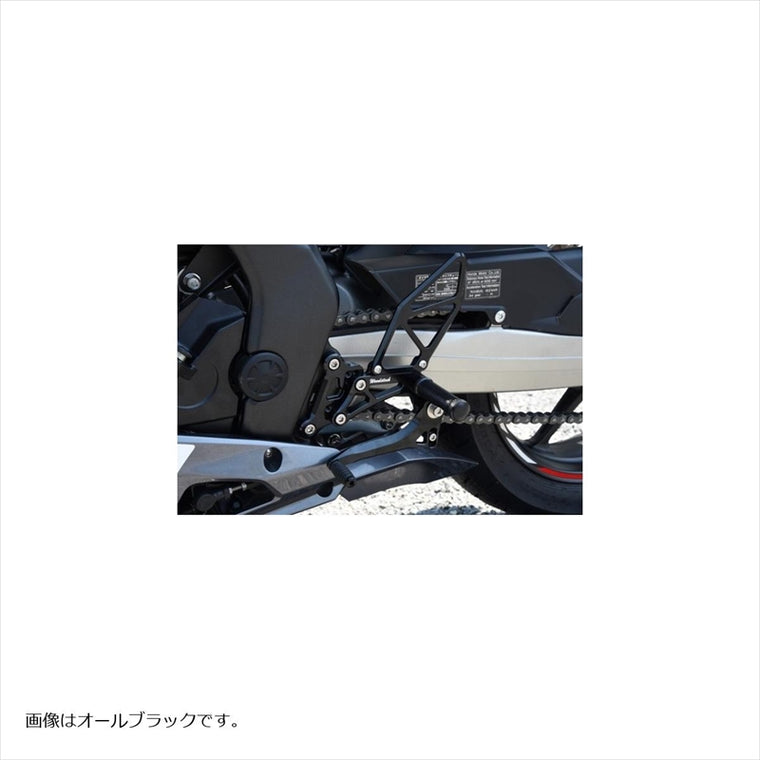 WOODSTOCK(ウッドストック) | バックステップキット オールSLV | WBS-H14-SL | CBR250RR ABS仕様 17-