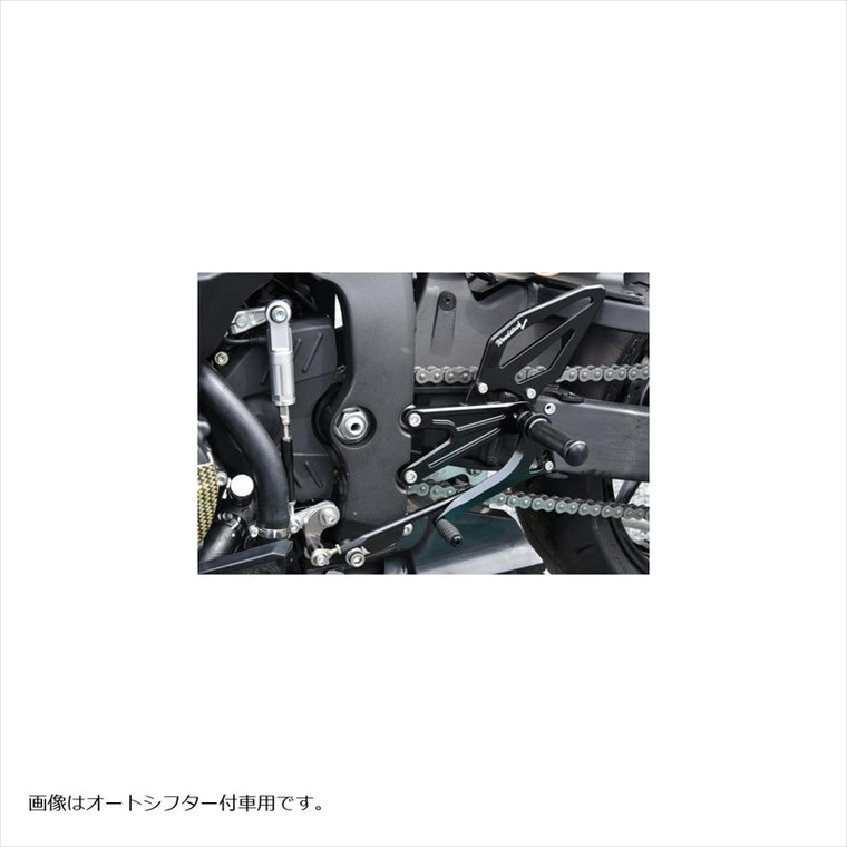 WOODSTOCK(ウッドストック)バックステップキット BLKWBS-H18-BB