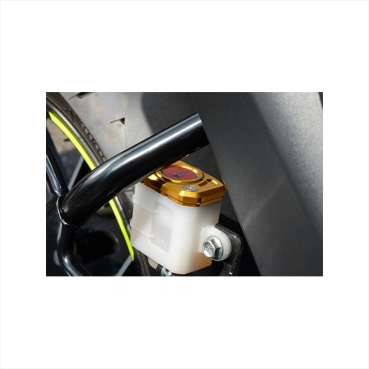アグラス｜リアマスターキャップ GLD ｜325-310-000G