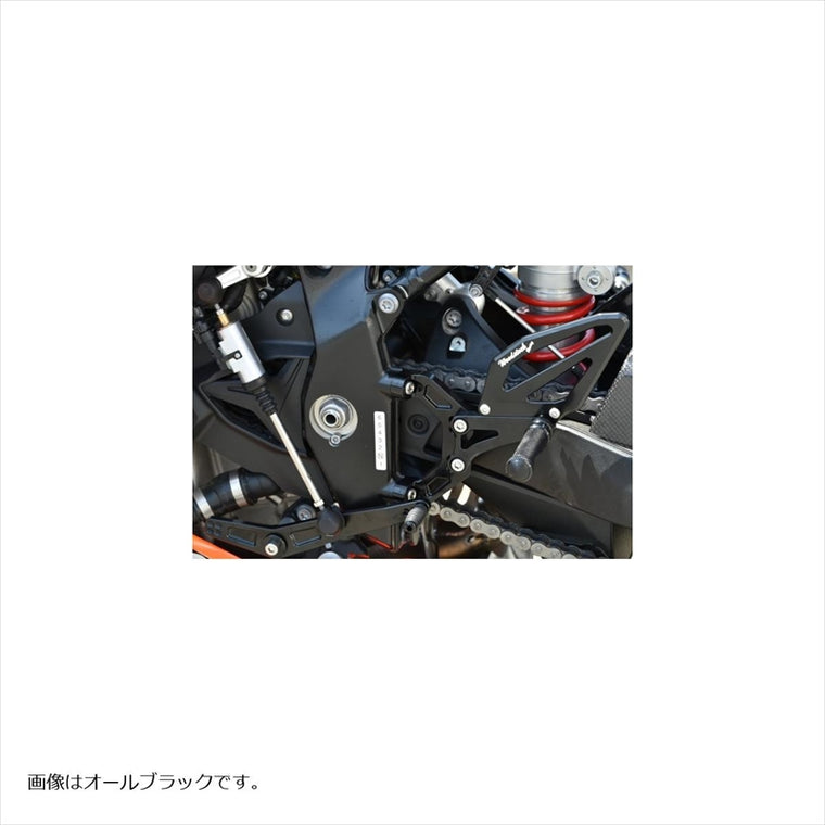 WOODSTOCK(ウッドストック) | バックステップキット オールSLV  | WBS-BM04-SL | BMW S1000RR 20-
