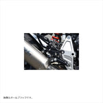 WOODSTOCK(ウッドストック) | バックステップキット オールSLV | WBS-H17-SL | CB1000R 18-20