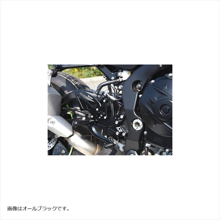 WOODSTOCK(ウッドストック) | バックステップキット オールSLV  | WBS-S14R-SL | GSX-R1000R 17-