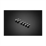 BIKERS(バイカーズ) | スクリーン用 ステンレスボルト ブラック | C0418-BLK | ZX-25R 20-24 ZX-4R 23-24