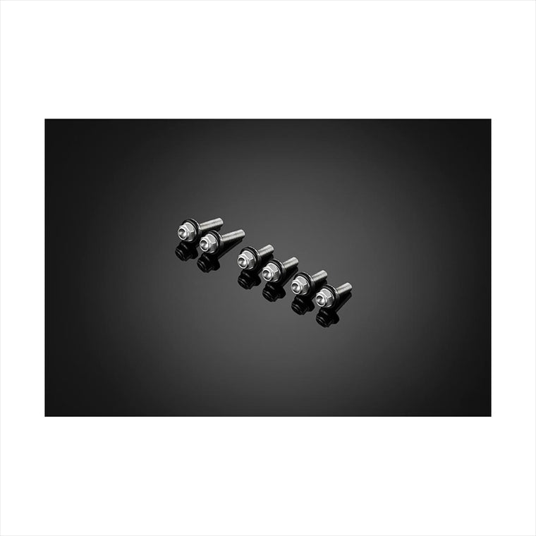BIKERS(バイカーズ) | スクリーン用 ステンレスボルト ブラック | C0418-BLK | ZX-25R 20-24 ZX-4R 23-24
