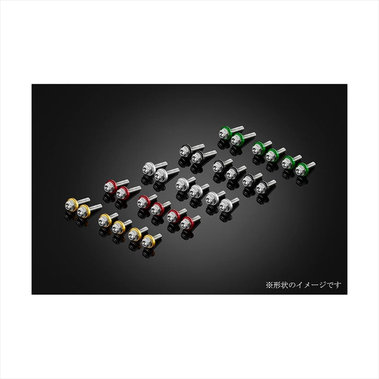 BIKERS(バイカーズ) | スクリーン用 ステンレスボルト グレー | C0418-GRY | ZX-25R 20-24 ZX-4R 23-24