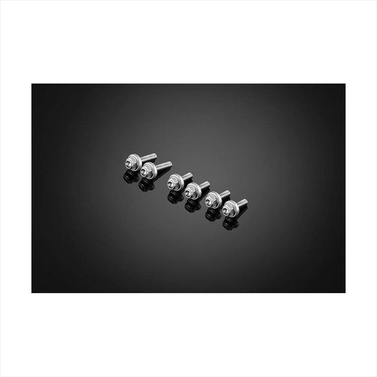 BIKERS(バイカーズ) | スクリーン用 ステンレスボルト シルバー | C0418-SLV | ZX-25R 20-24 ZX-4R 23-24
