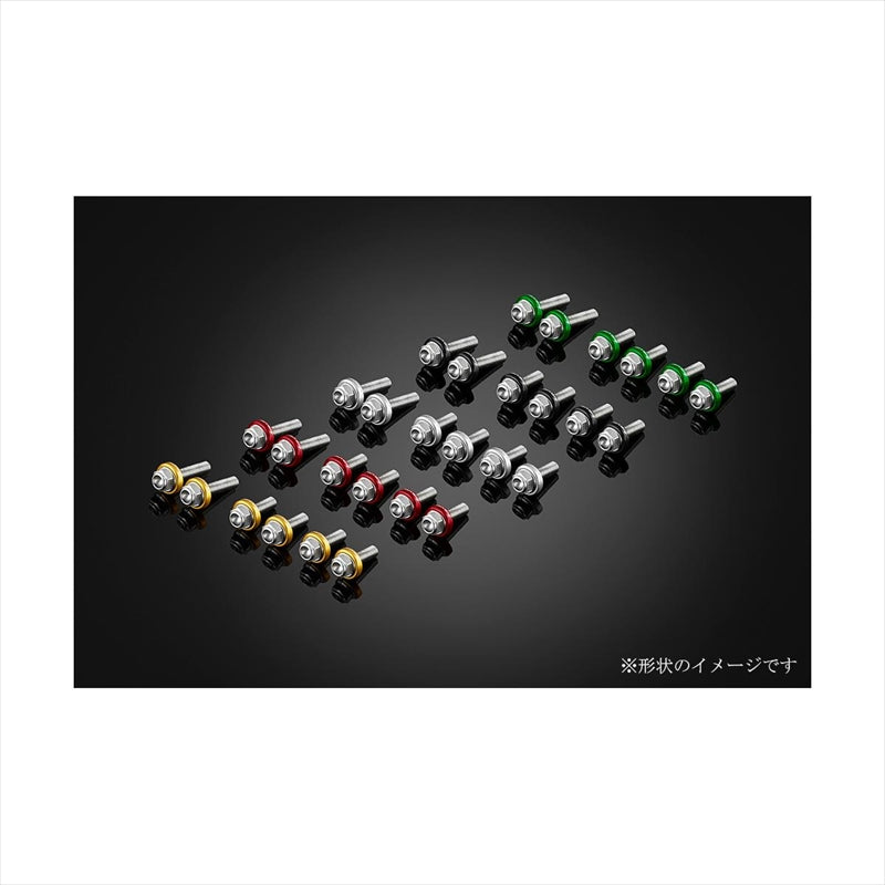 BIKERS(バイカーズ) スクリーン用 ステンレスボルト チタン C0418-TIN