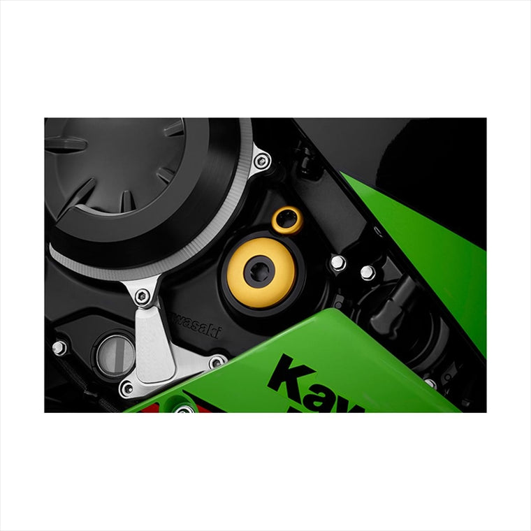 BIKERS(バイカーズ) | ジェネレータープラグ ライトゴールド | K0379-LGD | Ninja650/Z650 17-25