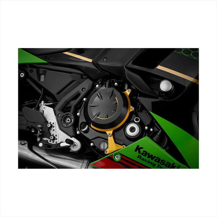 BIKERS(バイカーズ) | エンジンガード 右側 ライトゴールド | K0382-LGD | Ninja650/Z650 17-25