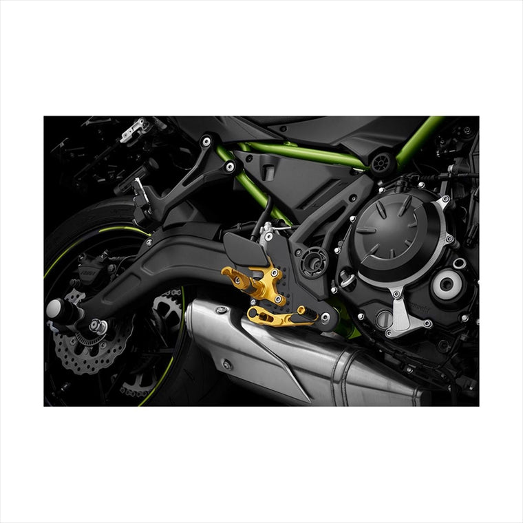 BIKERS(バイカーズ) | バックステップ ライトゴールド | K0387-LGD | Ninja650/Z650 17-25