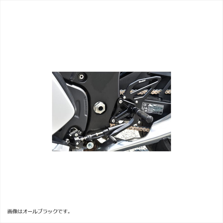 WOODSTOCK(ウッドストック) | バックステップキット オールSLV  | WBS-S20-SL | HAYABUSA 21-